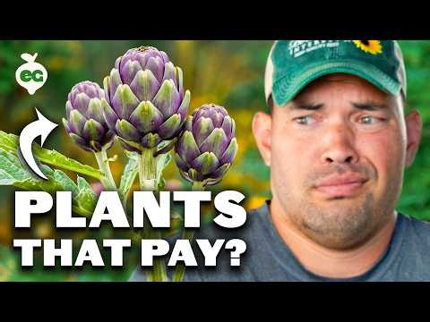 5 Perennials That Pay You Back In ONE Season