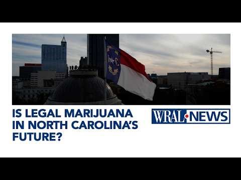 Is Legal Marijuana Coming to North Carolina? | The Impact of Reclassification