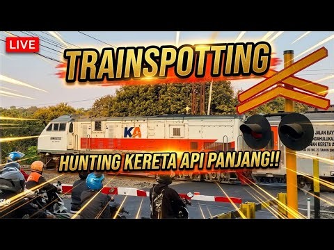 🔴 LIVE BUSY RAILROAD CROSSING
