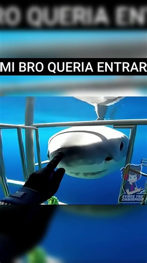 🔴MI BRO QUERIA ENTRAR 🌀Parodia Español🌀[ Memes en Español ] #memes #humor #fandub #parody #comedia