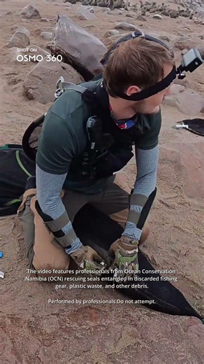 Every Angle of a Seal Rescue | DJI Osmo 360