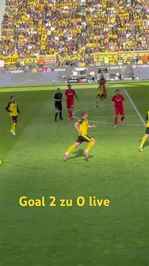 Borussia Dortmund vs Sc Freiburg BVB 09 Fußball Goal Tor #football #bundesliga #highlights