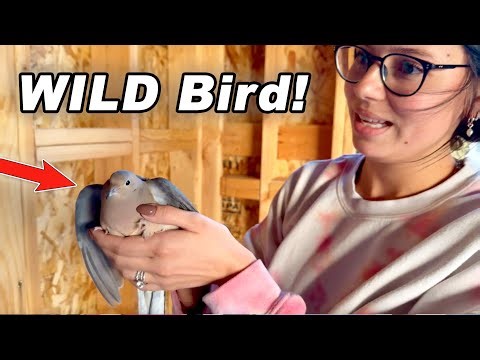 TRAPPED Inside Our NEW House!!