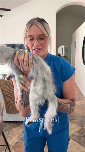 Maine Coon Kittens: Big Paws, Fluffy Fur & Sweet Faces