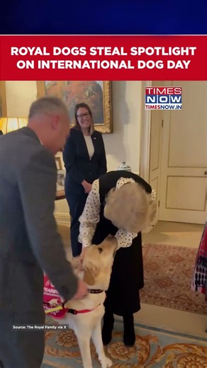 King Charles Goes Full Paw-Ty! Royal Dogs Steal The Spotlight On International Dog Day #shorts