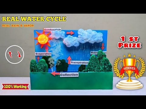 This REAL Water Cycle Model Creates REAL Rain & Vapor 🌧️☀️ | Best Science Fair Project