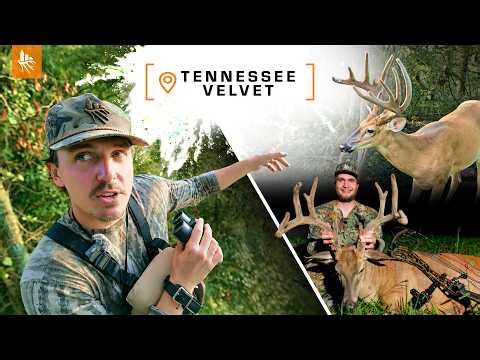 HUNTING VELVET GIANTS!!! Big Buck Down! (Season Opener)