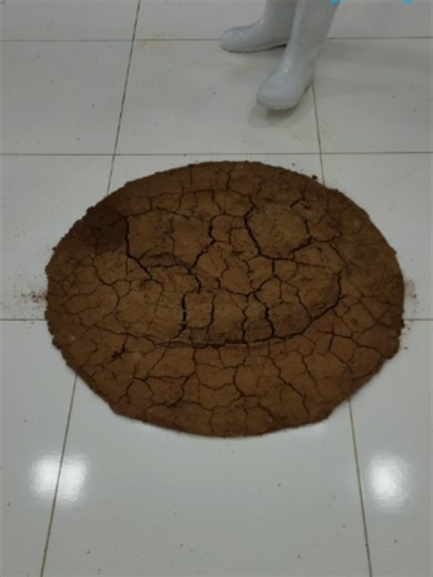 Cleaning satisfying the happy smile of the muddy rug 😀#asmrsounds #cleaning 😀#asmr