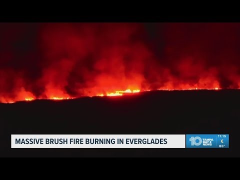 Massive fire blazes in the Everglades as dozens burn burn across Florida