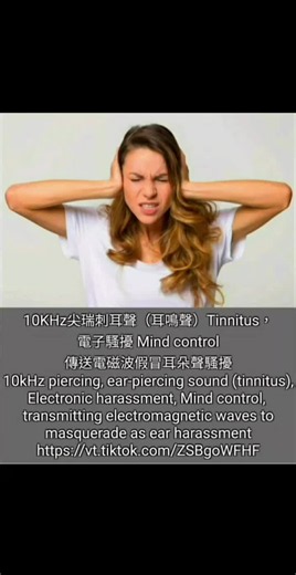 【Technical Bulletin】 Electronic harassment techniques Mind contral The unscrupulous officers of the Security Team of the Taiwan Police Station use electromagnetic waves to transmit fake ear sounds… | 鄭旭晃