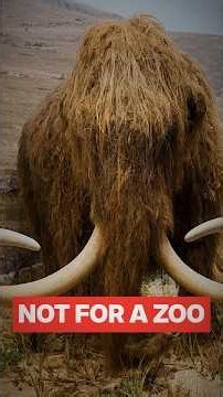 Why the Arctic DESPERATELY Needs Mammoths Again #mammoth