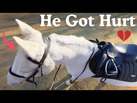 My Horse is Injured... We had to call the Vet - GoPro POV Riding video - This Esme