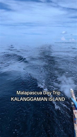 📍 Kalanggaman island day trip W/ DRONE SHOTS 😍 🐬🌊🏝️ ✨ OPEN FOR JOINERS ❗ ✅Boat roundtrip (Malapascua to Kalanggaman) ✅Buffet lunch ✅ Entrance fee ✅Drone shots (photos and videos 😍 ✅Long sandbar paradise ✅Crystal clear water #dronepilotmalapascua #kalanggamanislanddroneshots #kalanggamanisland #leyte #malapascuaisland