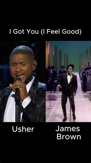 James Brown - Usher paid tribute to James Brown at the opening of the African American Museum