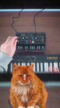 Thriller Meow Meow #behringer #dmini #synthwave #synthesizer