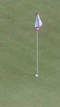 Assist🤜from the flagstick ⛳for par
