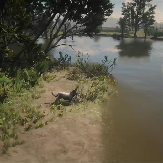 Donkey desperate escape from big crocodile | Indian Gamer DT