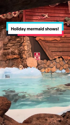 Get ready with me for mermaid shows!!!! New years mermaid shows Dec 30-Jan 3 @Pirates Table Buffet #mermaid #mermaidtail #swimming #grwm #newyear