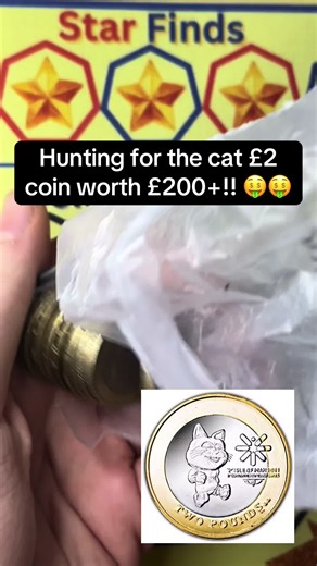 Tosha Cat £2 Coin Hunting for High Value