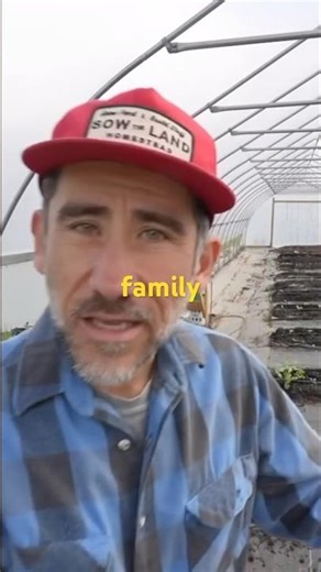 Planting Our Christmas Tree Farm 🎄