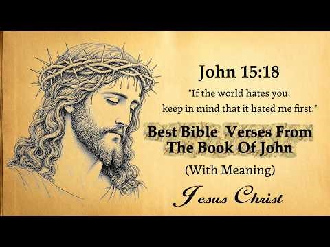 Best Bible Verses from the Book of John (With Meanings).