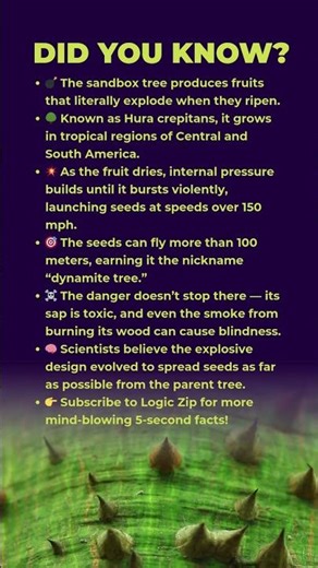 🌳 The Fruit That’s a Natural Bomb!😲