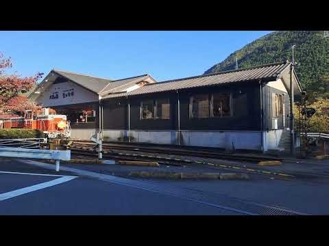 トロッコわたらせ渓谷4号が水沼馭を出発して踏切を通過するシ一ン17.10.2026.