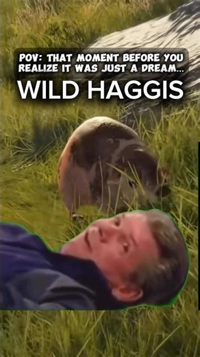 I Keep Finding The WILD HAGGIS In My Dreams 😭 The Hunter: Call of the Wild #cotw