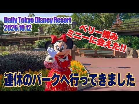連休のパークを体験してきました!! | 東京ディズニーリゾート