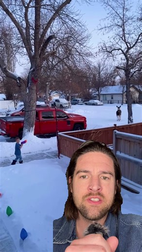 Buffalo, New York is arming children kids with Nerf Guns with tranquilizer tips in order to combat the overpopulation of deer #newyork #deer #nature #fyp #foryou