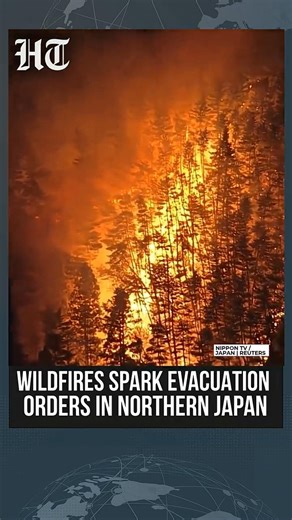 Japan Wildfire News | Wildfires Spark Evacuation Orders In Northern Japan | #shorts