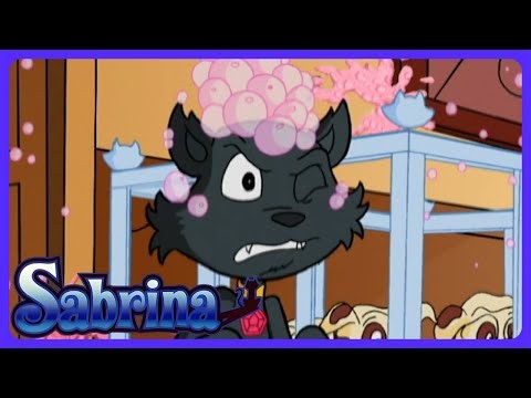 Sabrina - Crazy Body Swap Magic! 🔄 | Kids Cartoons | WildBrain Magical Palace
