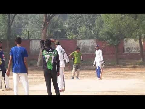 | Local Sports 1 | Cricket & Football Highlights