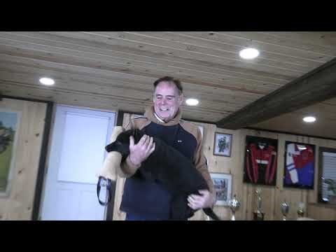 Best-of-the-Best! Kraftwork K9 Pro German Shepherds