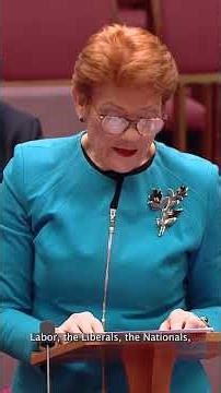 Federal budget 2026: Angus Taylor vows migration cut; Pauline Hanson cut off in budget reply
