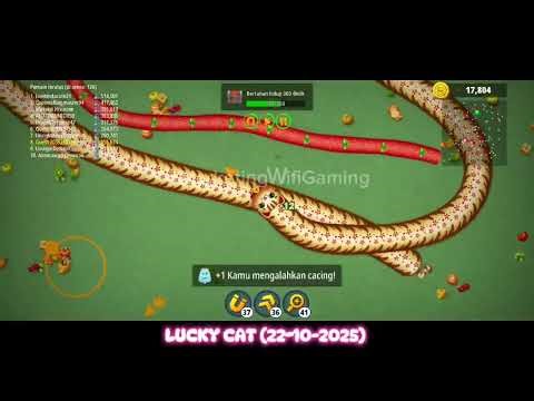 Momen Lucky Cat 22 Oktober 2025 Worms Zone Top Pro Epic Magic Skill Info Promo Wifi Internet #Viral