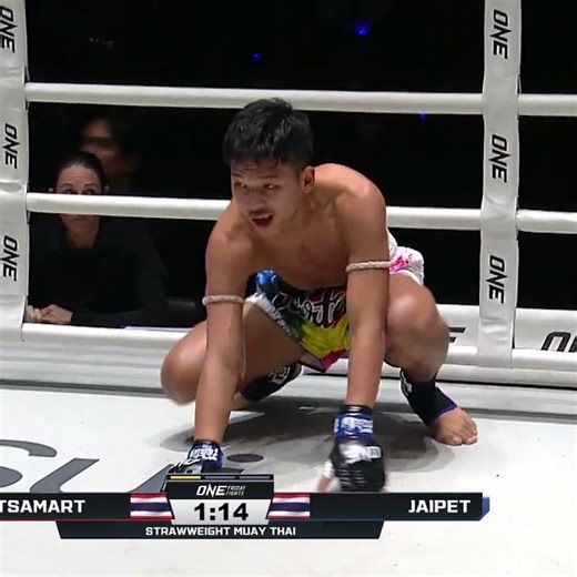 WIPEOUT 😵 Petsamart stops Jaipet in the very first round!