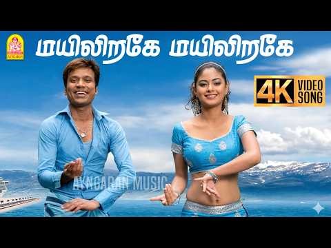 Mayiliragae - 4K Video Song | மயிலிறகே..! | Anbe Aaruyire | SJ Suryah | Nila | A.R.Rahman | Ayngaran