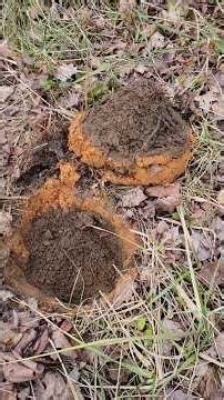 100+ Years Old TREASURE Under RAZED Farmhouse Found Metal Detecting! (Part 3)