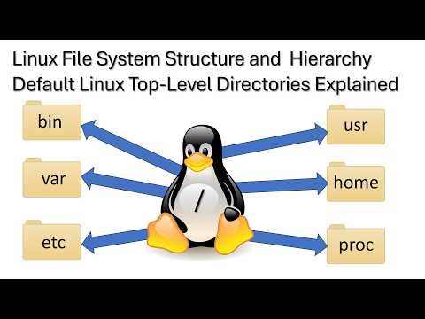 Linux File System Hierarchy and Structure | Linux Top-Level Directories Explained