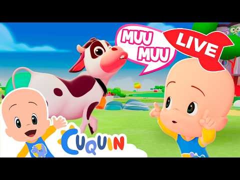 🔴 DIRECTO 🔴 Canciones infantiles y vídeos educativos de Cleo y Cuquín