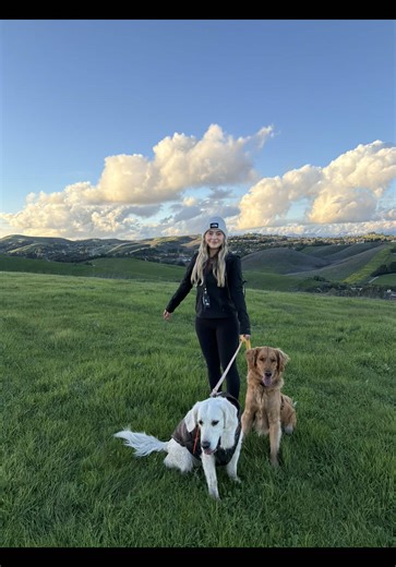 New iPhone 17 Features You’ll Love This Year