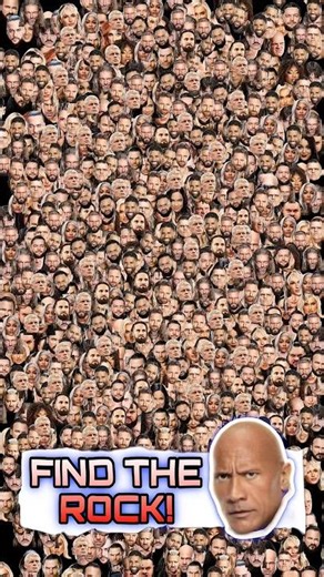 FIND THE ROCK - WWE