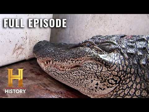 One-Handed Hunt After Brutal Gator Bite (S4, E5) | Swamp People | Full Episode