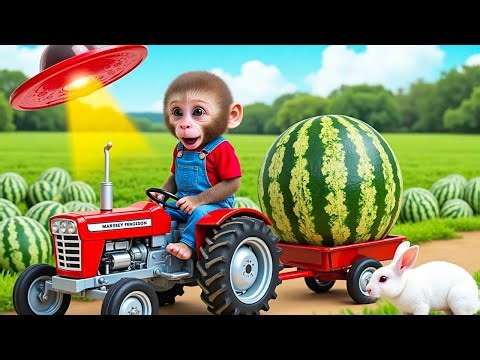Monkey BoBo and the alien UFO trying to steal the giant watermelon- BoBo Monkey Life