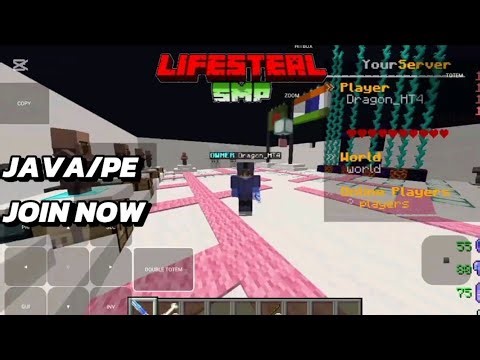 Best Public Lifesteal SMP | Java + PE | 24/7 Online | Join Now
