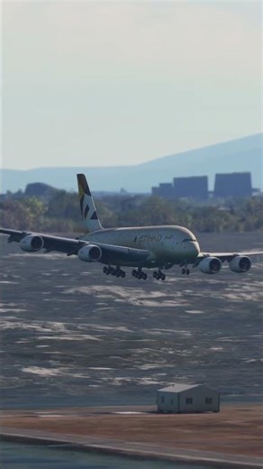 the pilot's actions endangered the plane's passengers EP338