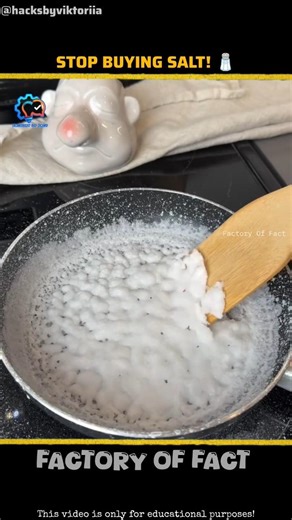 Stop Buying Salt! 🧂 Make YOUR OWN Pure Sea Salt at Home Easily! 🌊|Factory Of Fact