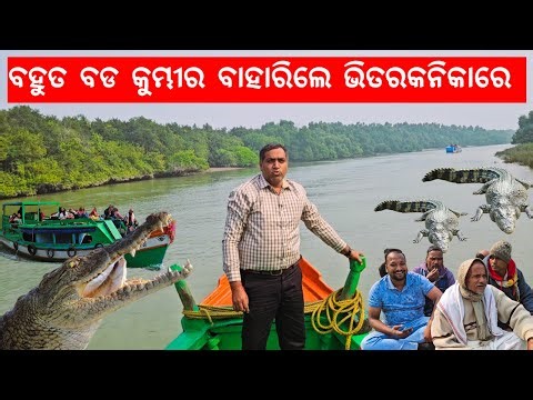 ଗାଁ ଲୋକେ ବାହାରିଲେ ଭିତରକନିକା l Bhitarakanika National Park 2026