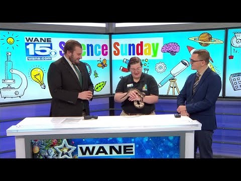 Science Sunday - Spring Break STEM Camp WANE 15 First News Sunday
